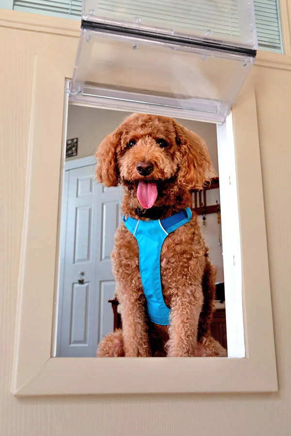 Hurricane Impact Rated Guard Dog Pet Door - Image 2